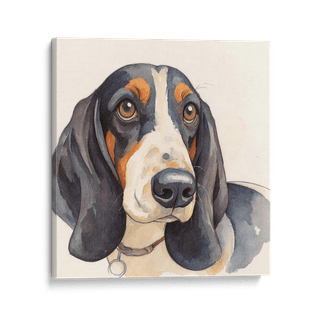 Pet Portraits