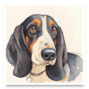 Apet portrait hung against a wall>