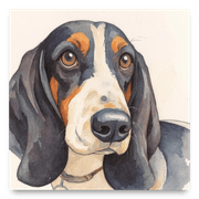Apet portrait hung against a wall>