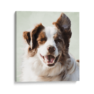 Pet Portraits