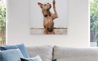 A canvas print hanging above a couch.