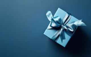 A photo of a gift box with a blue bow.